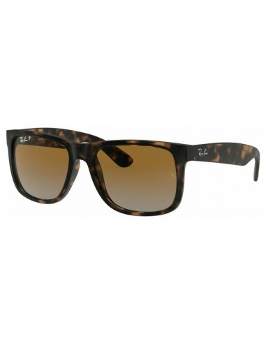 RAY-BAN polarized gafa de sol